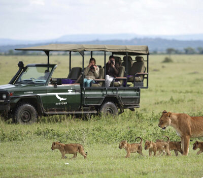 A SAFARI IN SERENGETI, Serengeti National Park. Grumeti game drive